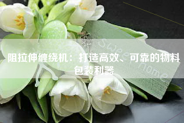 阻拉伸缠绕机：打造高效、可靠的物料包装利器