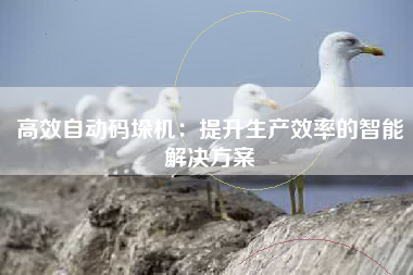 高效自动码垛机：提升生产效率的智能解决方案