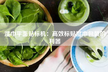 湿巾平面贴标机：高效标贴湿巾包装的利器