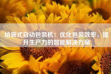 给袋式自动包装机：优化包装效率，提升生产力的智能解决方案