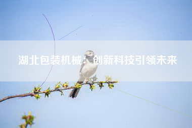 湖北包装机械：创新科技引领未来