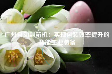 广州自动封箱机：实现包装效率提升的智能工业装备