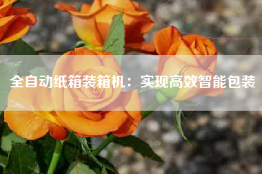 全自动纸箱装箱机：实现高效智能包装