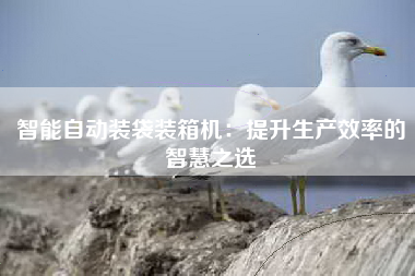 智能自动装袋装箱机：提升生产效率的智慧之选