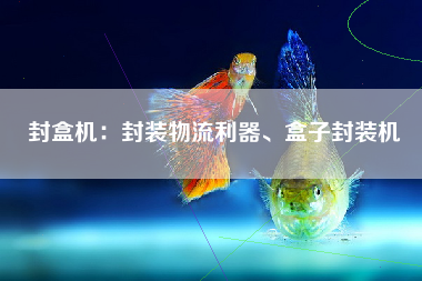 封盒机：封装物流利器、盒子封装机