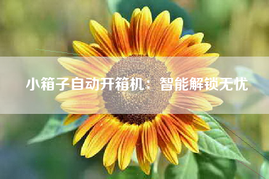小箱子自动开箱机：智能解锁无忧