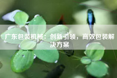 广东包装机械：创新引领，高效包装解决方案
