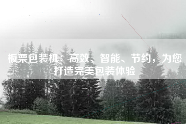 板栗包装机：高效、智能、节约，为您打造完美包装体验
