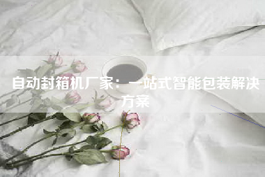 自动封箱机厂家：一站式智能包装解决方案
