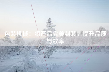 包装机械：将产品完美封装，提升品质与效率