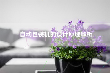 自动包装机的设计原理解析