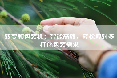 双变频包装机：智能高效，轻松应对多样化包装需求