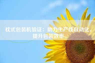 枕式包装机验证：助力生产线自动化，提升包装效率