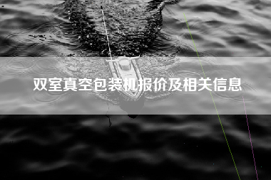双室真空包装机报价及相关信息