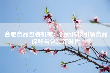 合肥食品包装机械：创新科技引领食品保鲜与包装新时代