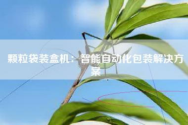 颗粒袋装盒机：智能自动化包装解决方案