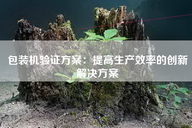 包装机验证方案：提高生产效率的创新解决方案