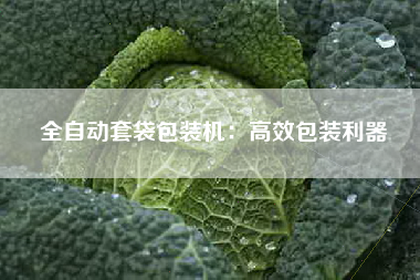 全自动套袋包装机：高效包装利器