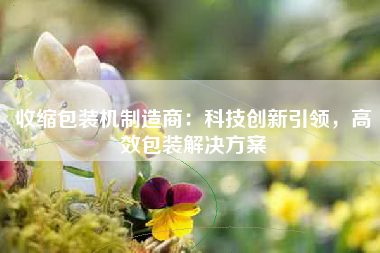 收缩包装机制造商：科技创新引领，高效包装解决方案