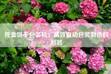 托盒饼干包装机：高效自动包装制造的利器