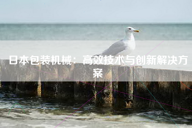 日本包装机械：高效技术与创新解决方案