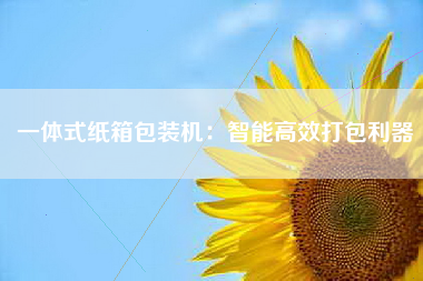 一体式纸箱包装机：智能高效打包利器