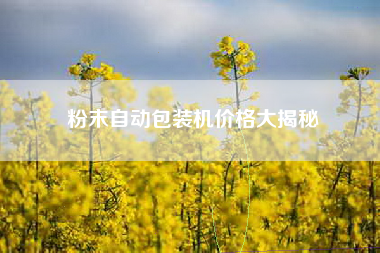粉末自动包装机价格大揭秘