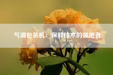 气调包装机：保鲜技术的领跑者