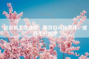 包装机工作视频：高效自动化操作，提升生产效率