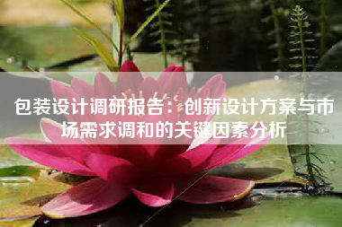 包装设计调研报告：创新设计方案与市场需求调和的关键因素分析