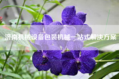 济南机械设备包装机械一站式解决方案