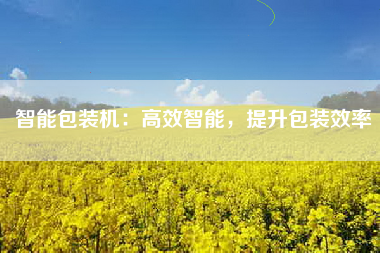 智能包装机：高效智能，提升包装效率