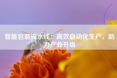 智能包装流水线：高效自动化生产，助力产业升级