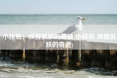 小棕瓶：唤醒肌肤的奇迹(小棕瓶-唤醒肌肤的奇迹)
