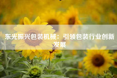 东光振兴包装机械：引领包装行业创新发展