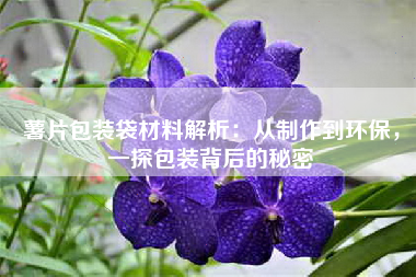 薯片包装袋材料解析：从制作到环保，一探包装背后的秘密