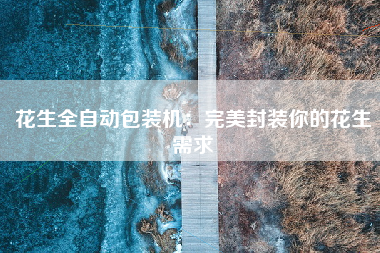 花生全自动包装机：完美封装你的花生需求