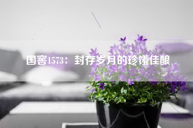 国窖1573：封存岁月的珍馐佳酿