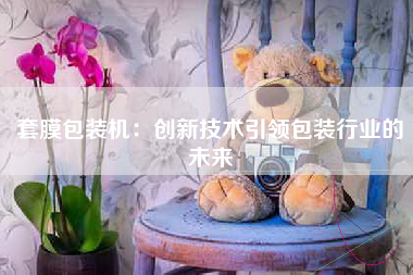 套膜包装机：创新技术引领包装行业的未来