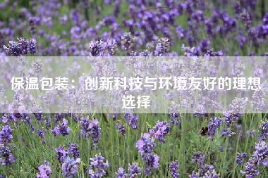 保温包装：创新科技与环境友好的理想选择