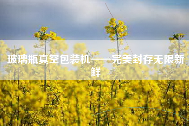 玻璃瓶真空包装机——完美封存无限新鲜