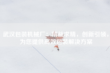 武汉包装机械厂：精益求精，创新引领，为您提供高效包装解决方案