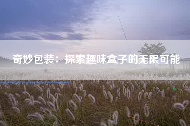 奇妙包装：探索趣味盒子的无限可能