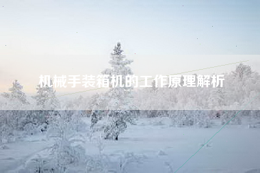 机械手装箱机的工作原理解析