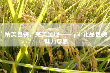 精美包装，完美呈现——apple礼品包装魅力尽显