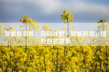 智能包装机：自动计数，智能高效，提升包装效率