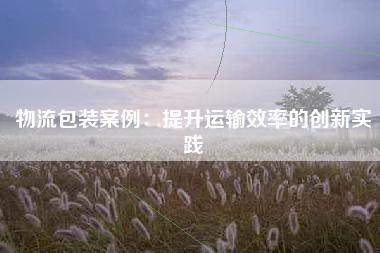 物流包装案例：提升运输效率的创新实践