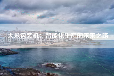 大米包装机：智能化生产的未来之路