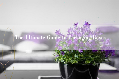 The Ultimate Guide to Packaging Boxes