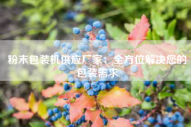 粉末包装机供应厂家：全方位解决您的包装需求